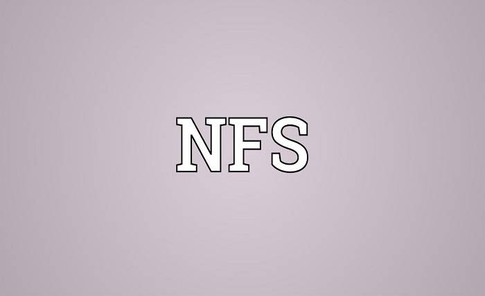 What Does NFS Stand For