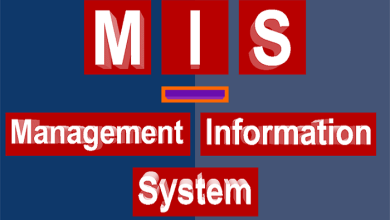 What Is MIS Full Form